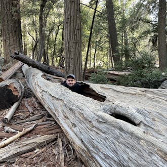 Jake Adelgren in a log