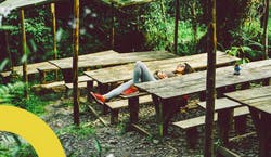 Imagem de mulher deitada em banco de madeira em meio à floresta.
