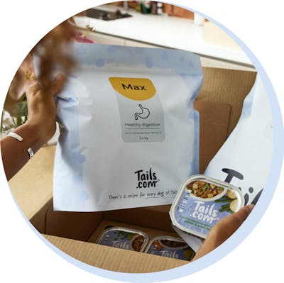Dein Hund ist einzigartig. Sein Futter auch - Individuelles Hundefutter, 2 Wochen gratis testen (1€ Versand) Und so funktioniert's