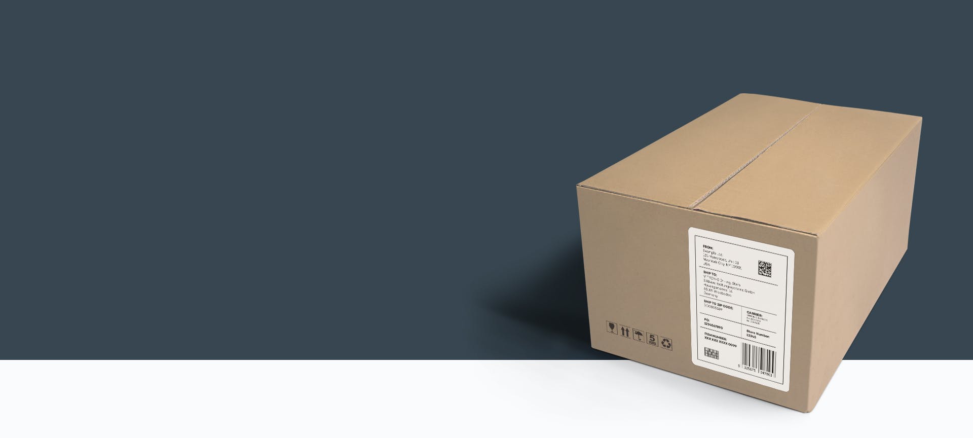 包裹和货物:VITRONIC系统的货物登记记录地址标签上的所有数据.