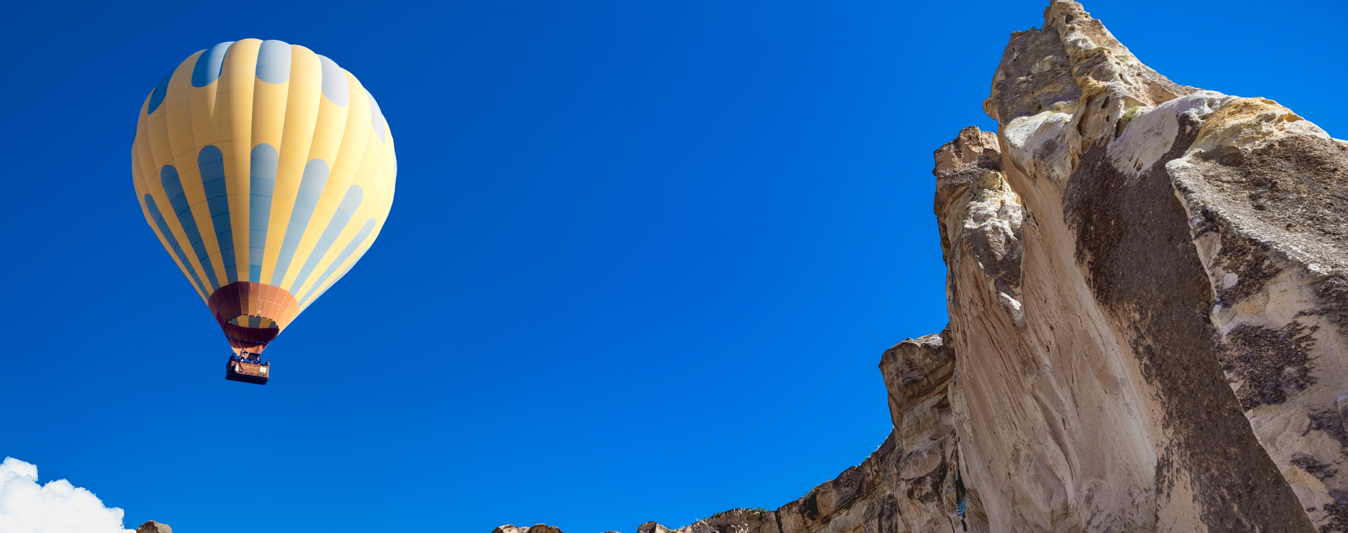 Bubba Booking Showcase