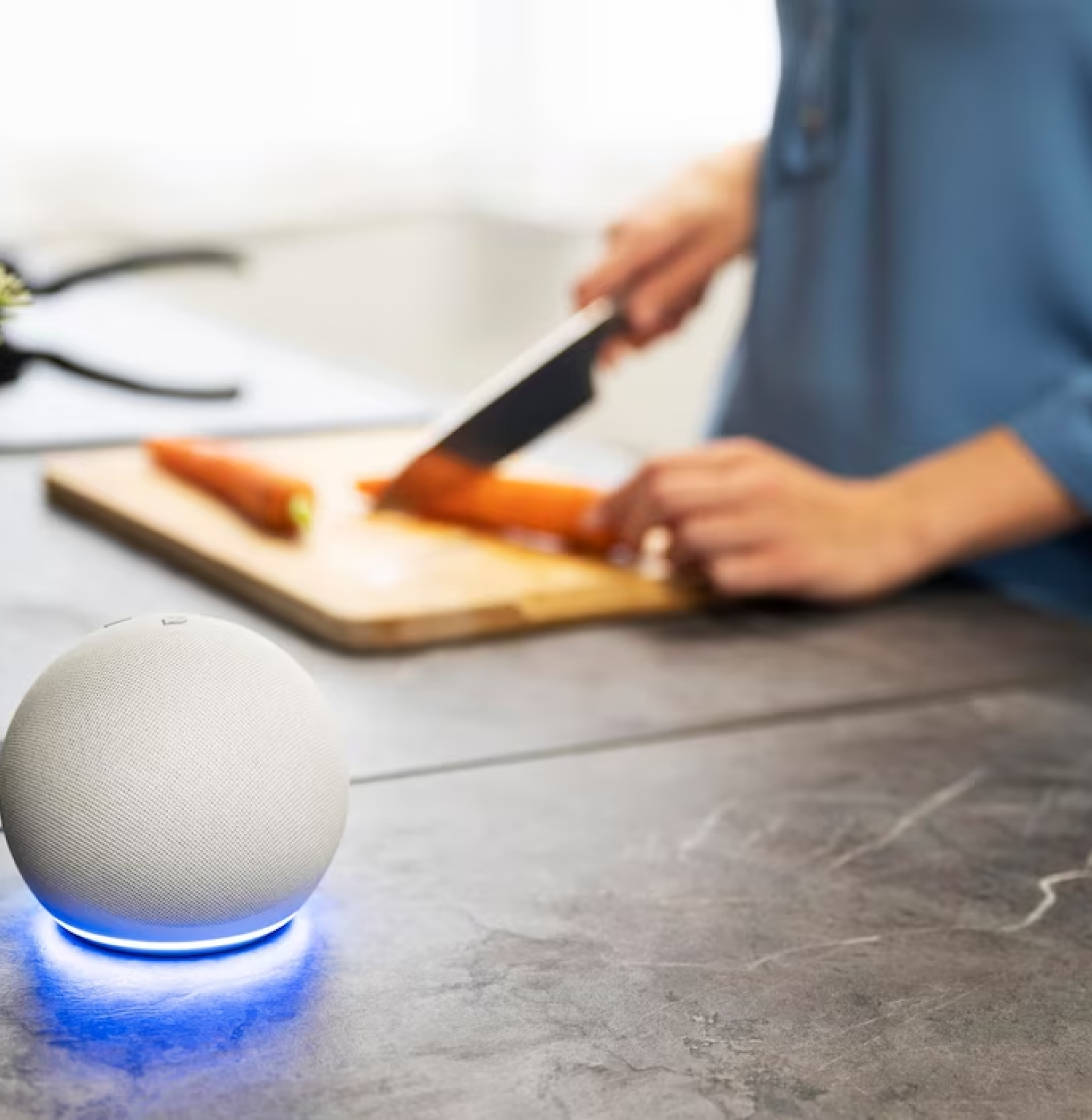 Voice and IoT Integration