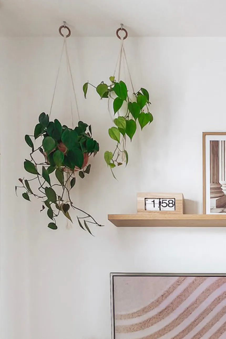 white TV cabinet, decorative pictures in frames on a white wall, potted plants in the living room