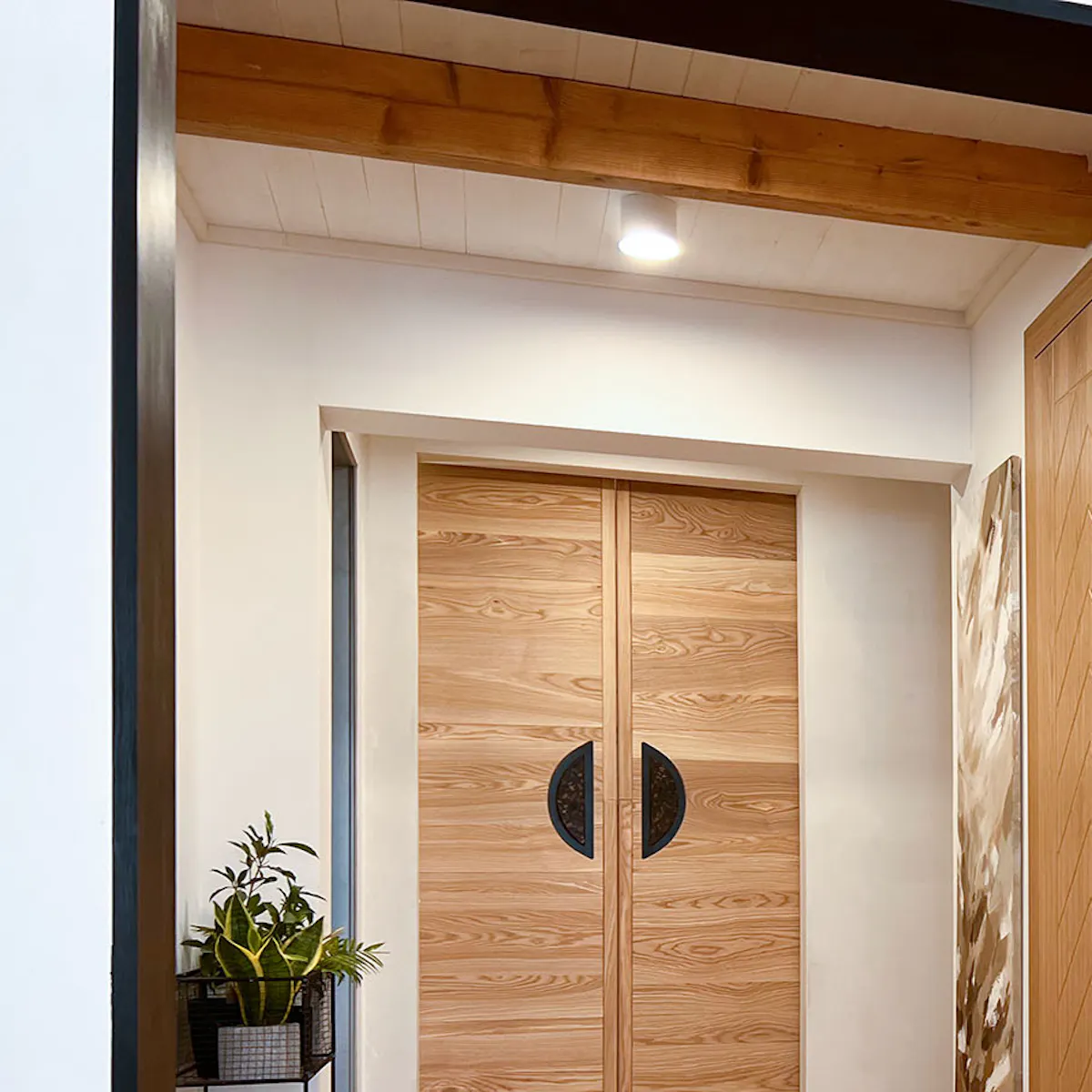 designer double sliding doors closing the entrance to the guest room