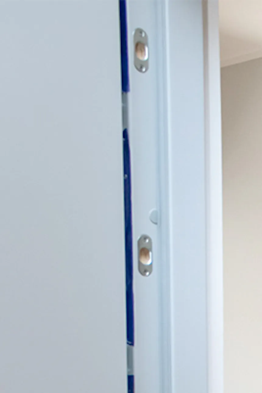 Sliding door in apartment building, wood sliding door, pantry sliding door, grey sliding door, utility room sliding door, plants in hallway.
