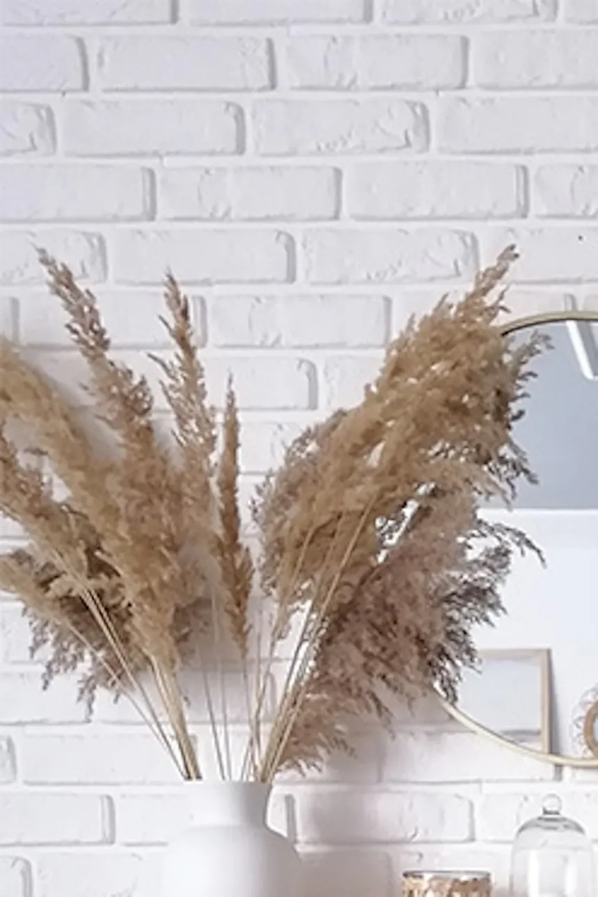 une cheminée près d'un mur de briques blanches orné de plantes et de décorations de style bohème