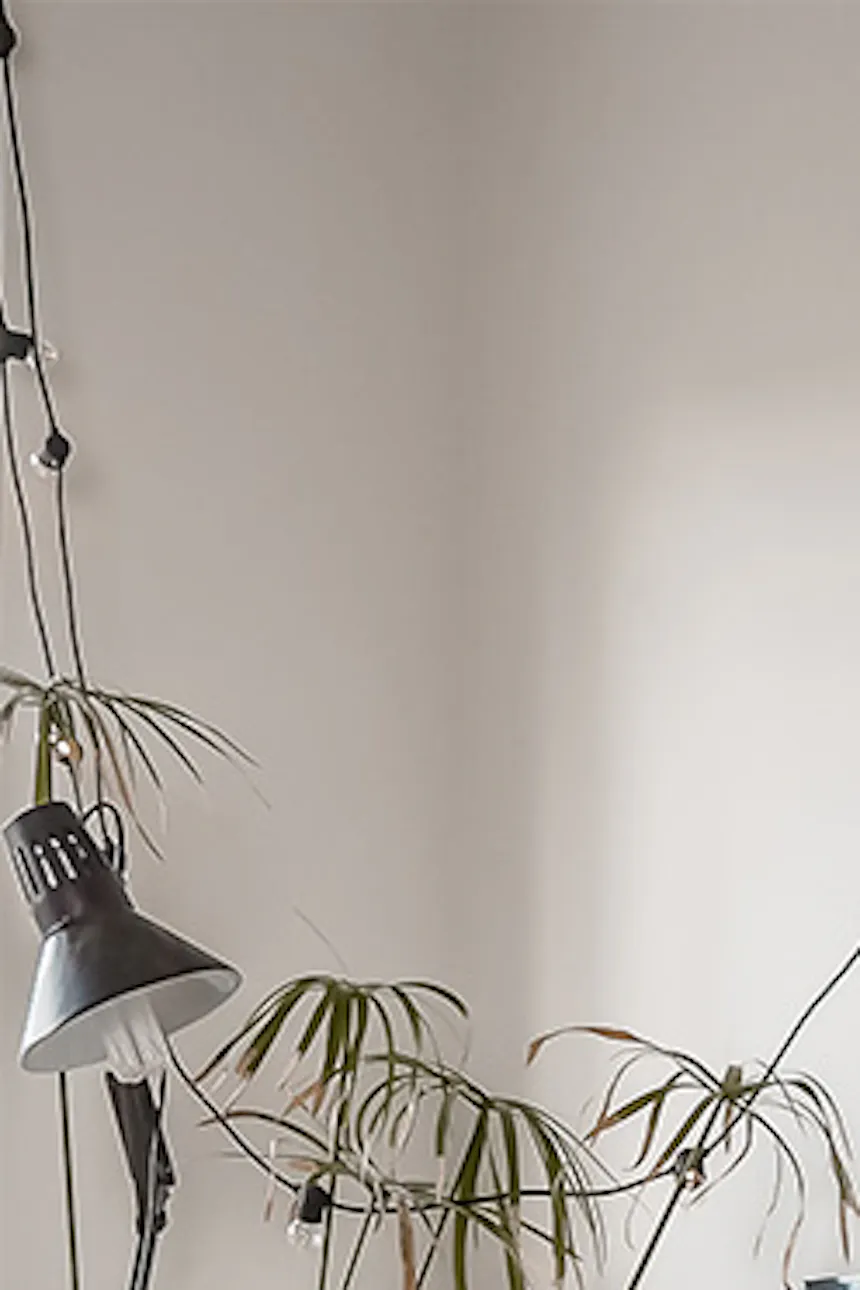 Student room setup, black metal plant stand, large loft-style desk, vintage bentwood chair, plants, loft-style room