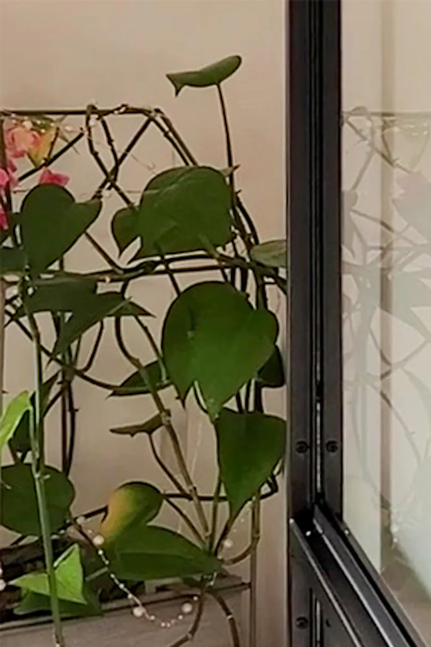 porte coulissante en verre dans un cadre en métal