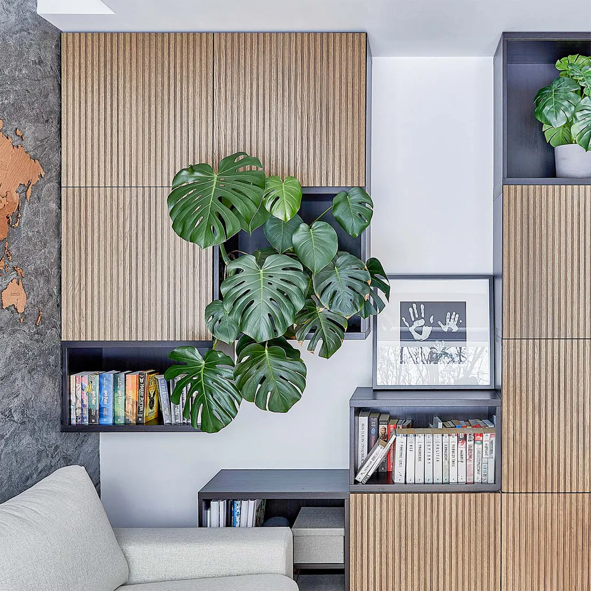 armoires modulaires avec façades lumineuses et étagères remplies de livres et de plantes vertes