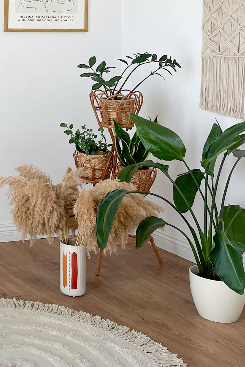 plante en pot sur le sol à côté d'un support de fleurs en bambou