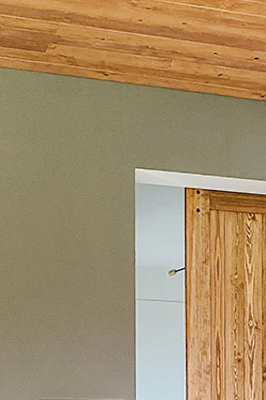Mirror door in entryway, black metal loft-style fireplace, glass wall, microcement floor