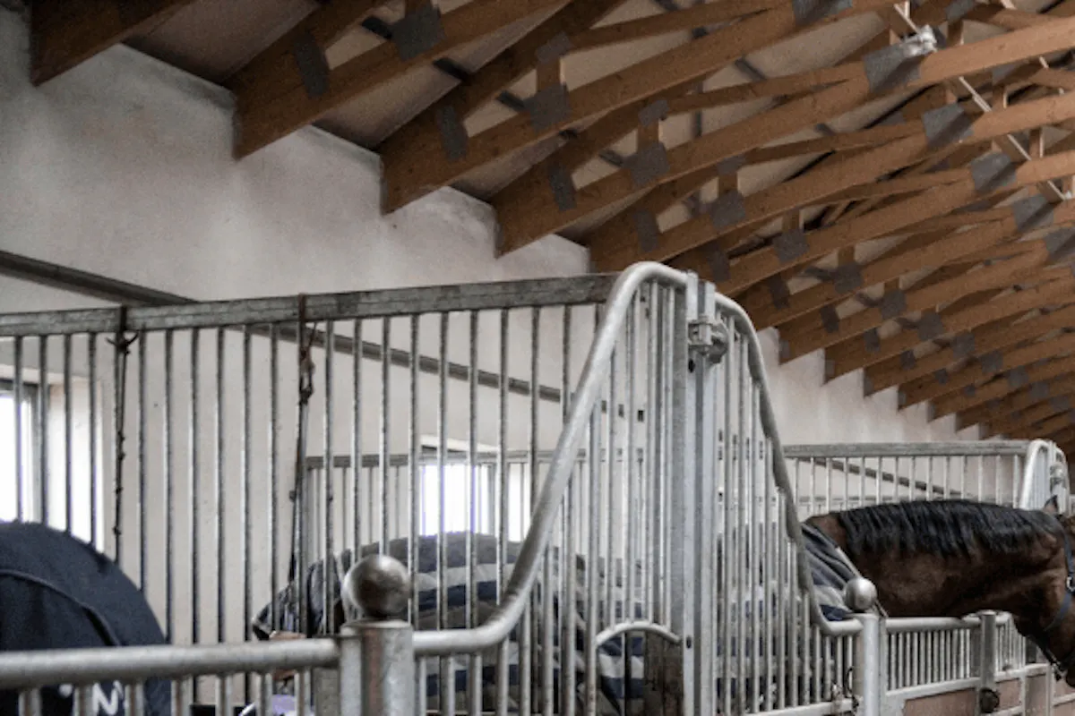 inside the stables