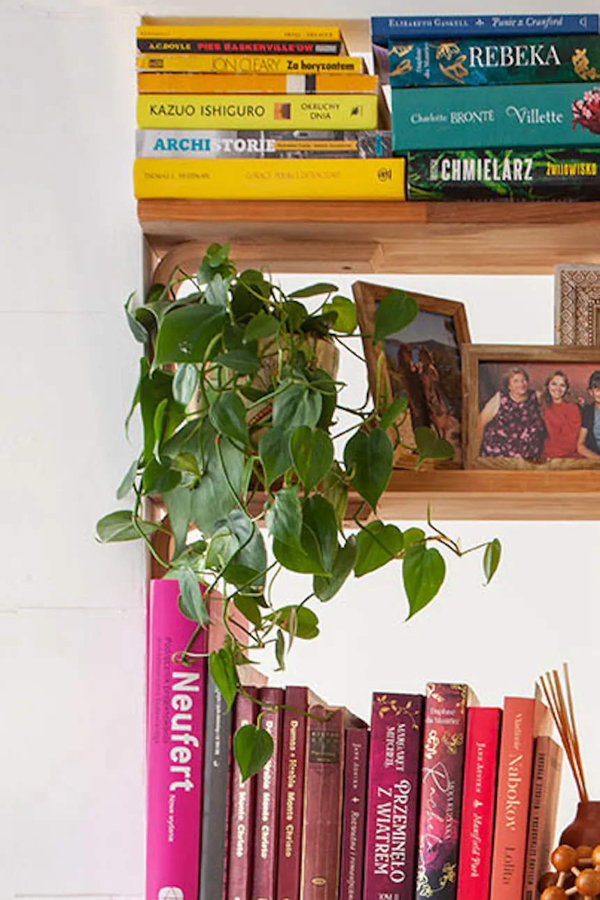 étagère dans un petit appartement