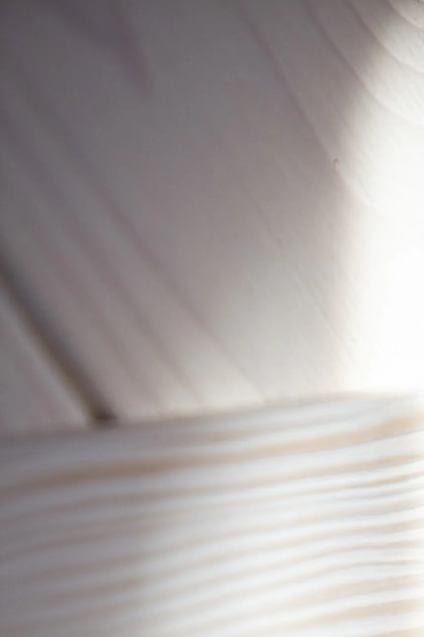 porte coulissante en bois blanc
