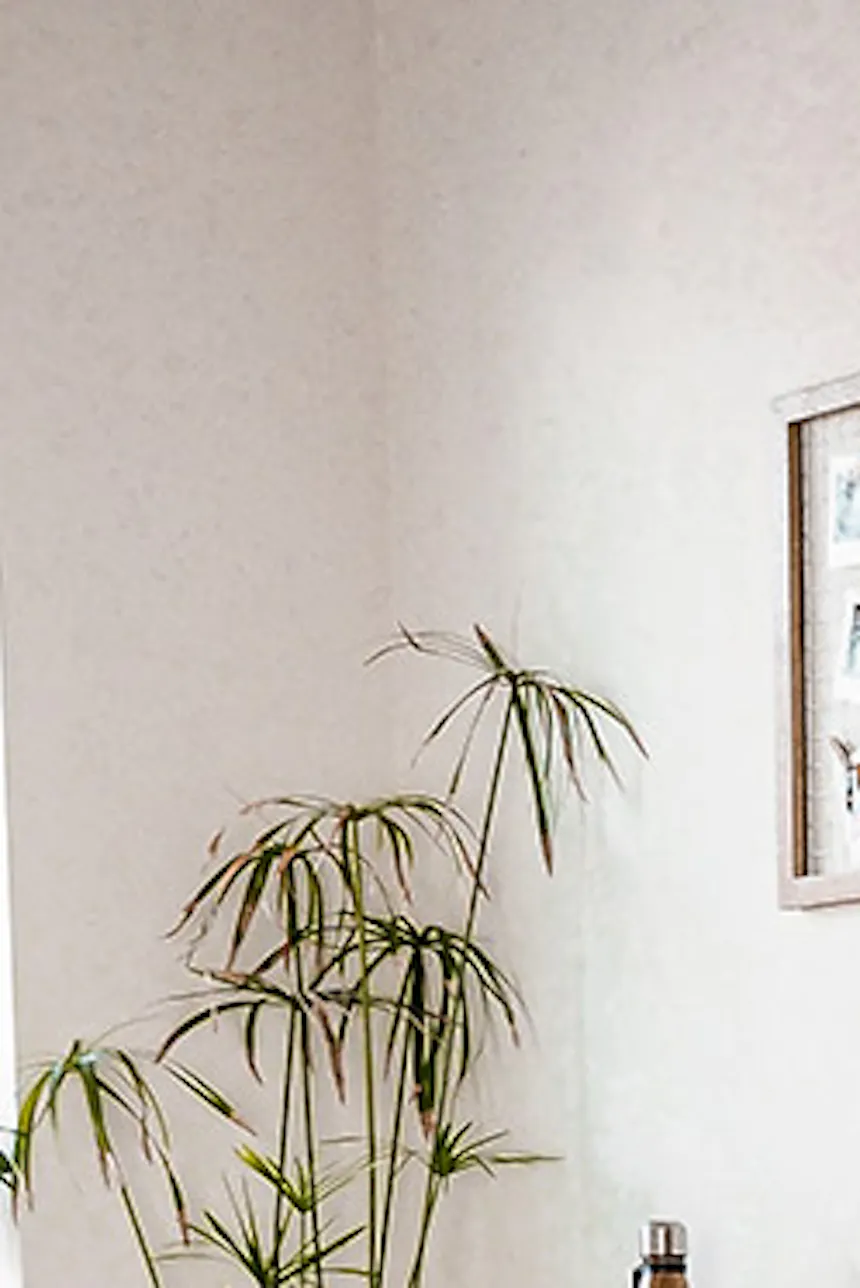Student room setup, large loft-style desk, metal and wood desk, large metal plant stand, black bentwood chair, antique military crates as décor