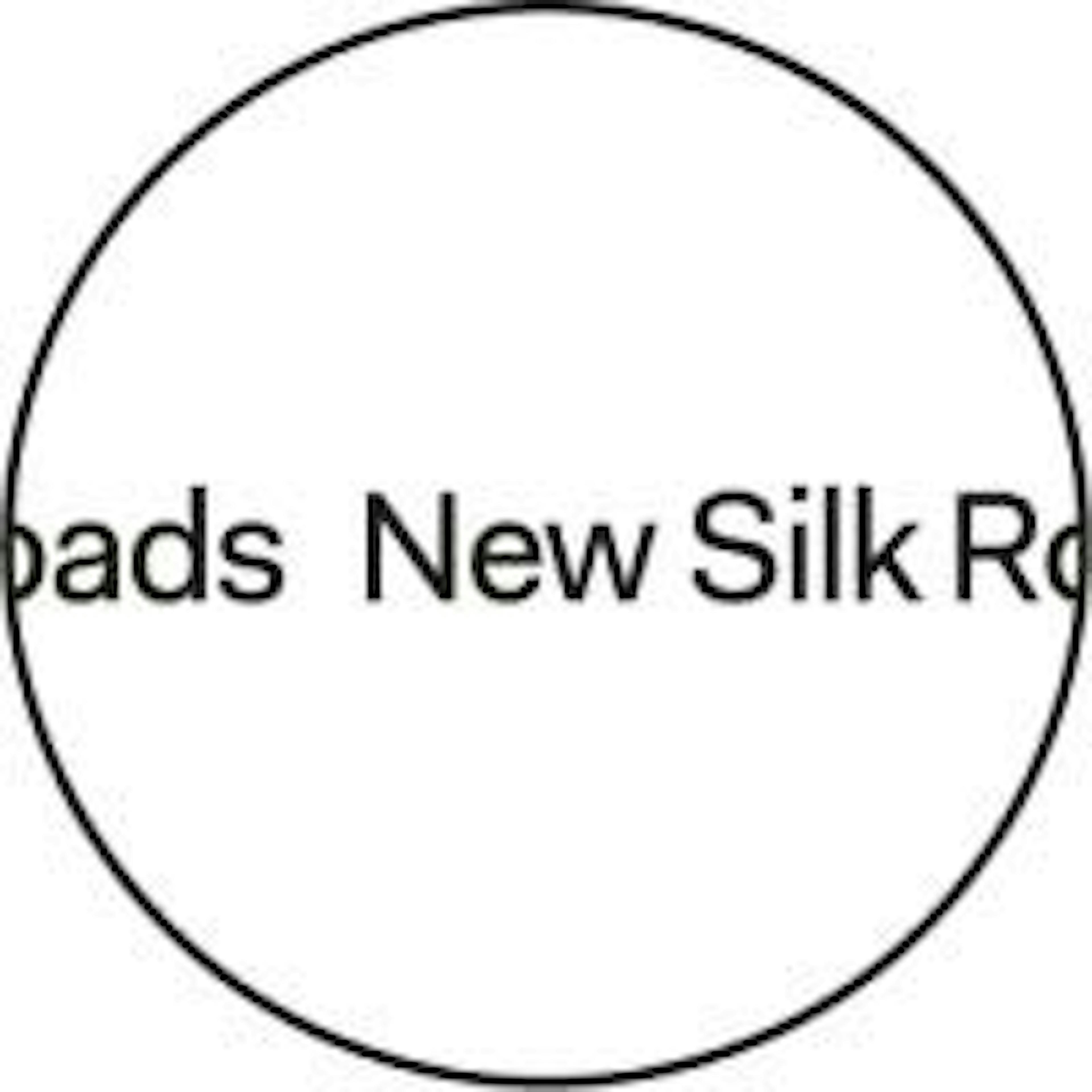 New Silk Roads is a boutique impact agency based in Amsterdam, Tunis and Cairo.