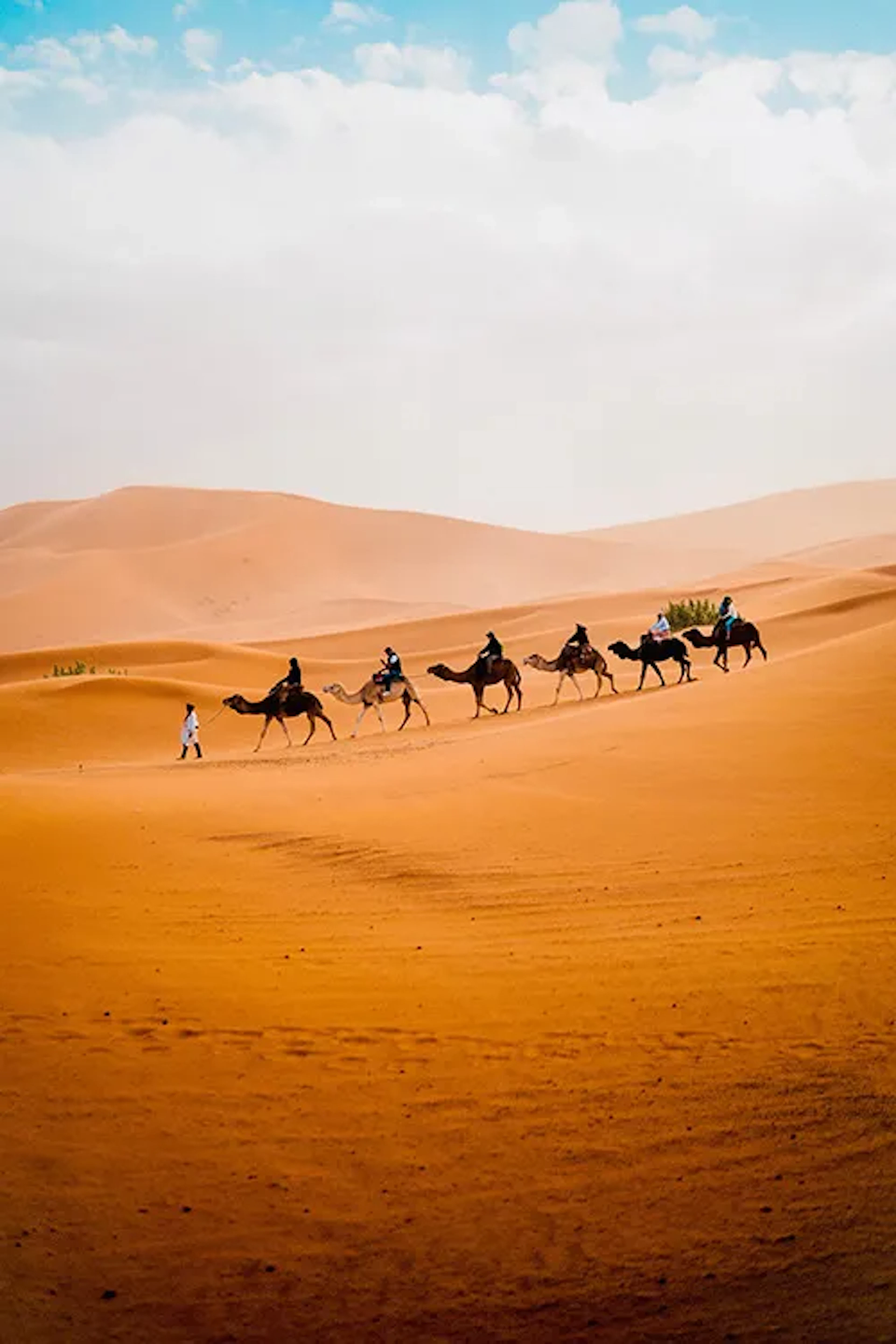 The Best Desert Safari in Dubai for 2024