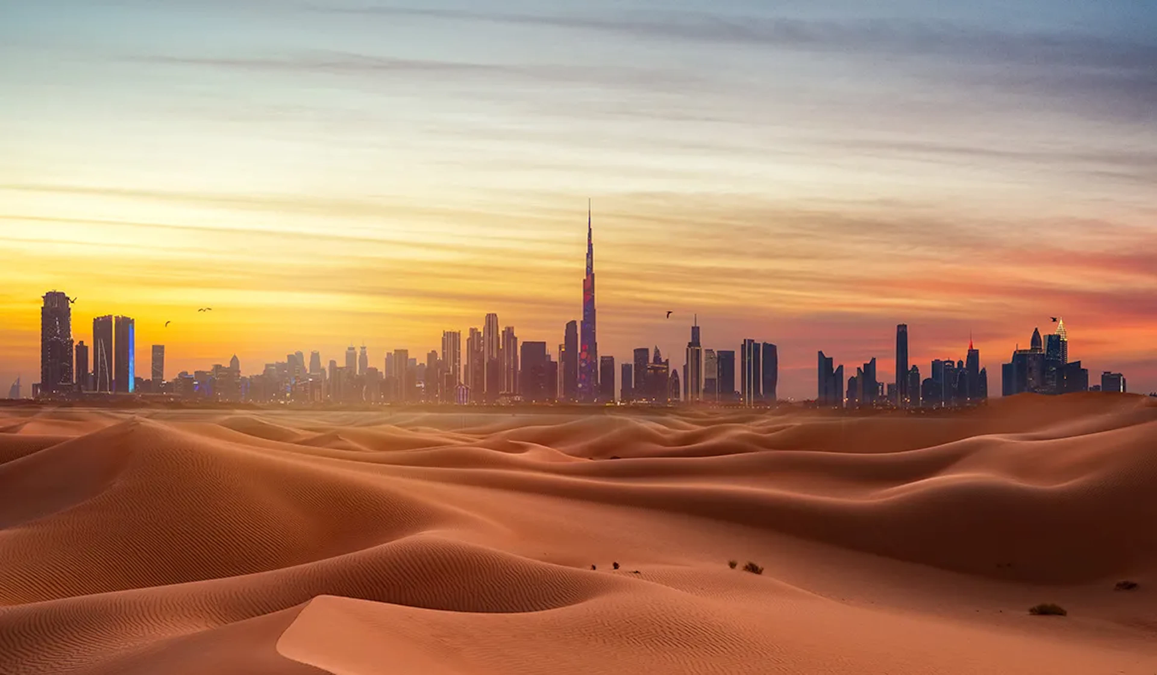 The Best Desert Safari in Dubai for 2024