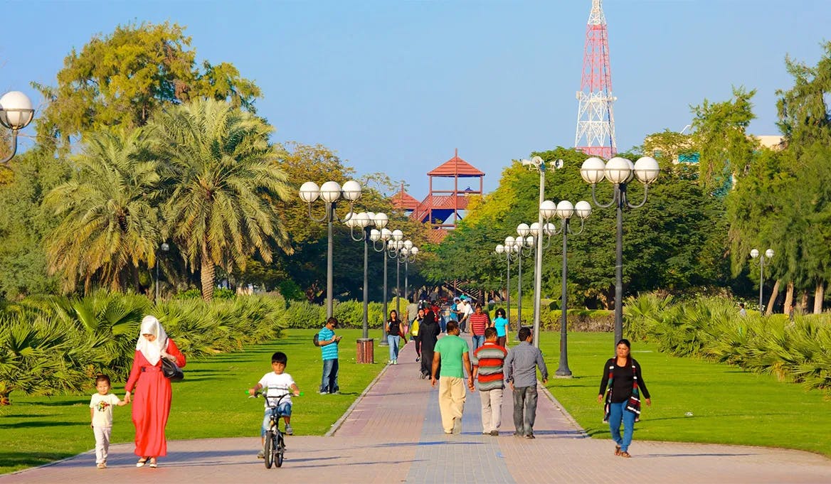 Things to Know Before Visiting