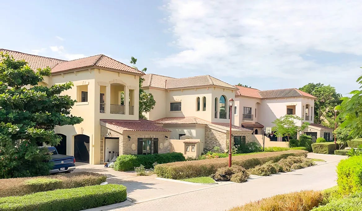 Investment Opportunities in Lime Tree Valley