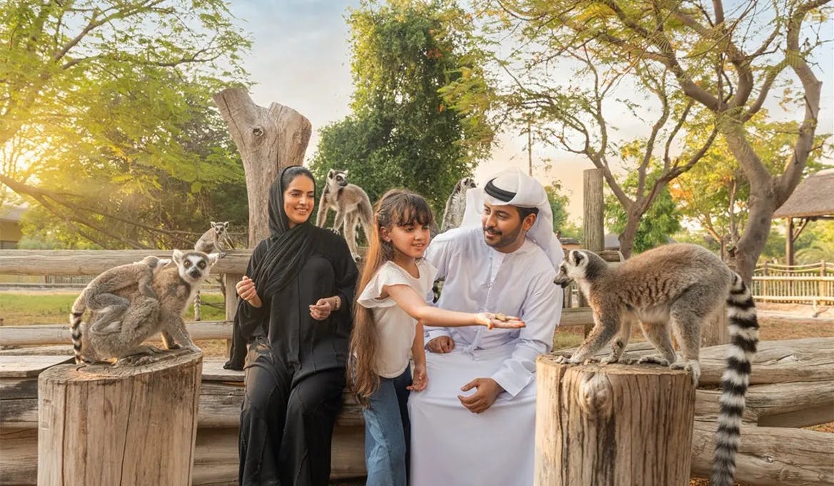 Dubai Frame and Nearby Attractions
