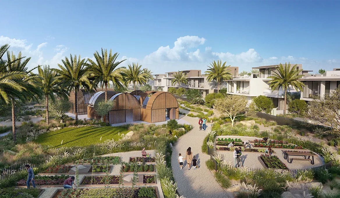 Sustainability and Innovation