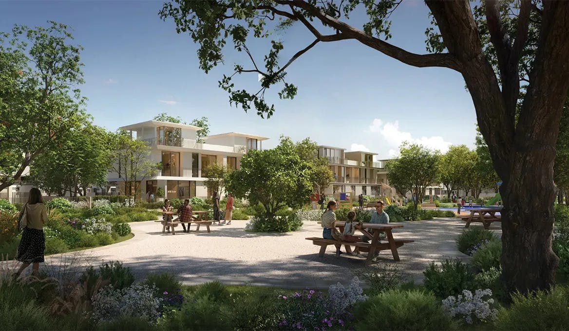 Investment Potential of Avena at the Valley