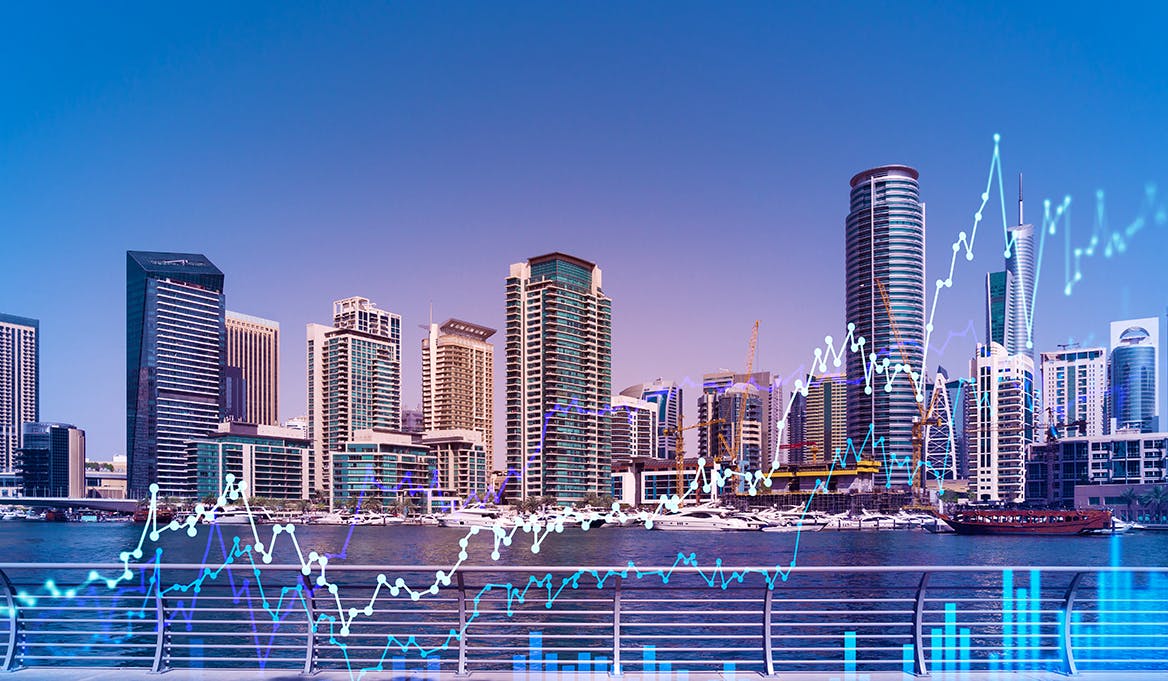 Deconstructing the UAE's Magnetism: Key Contributing Factors