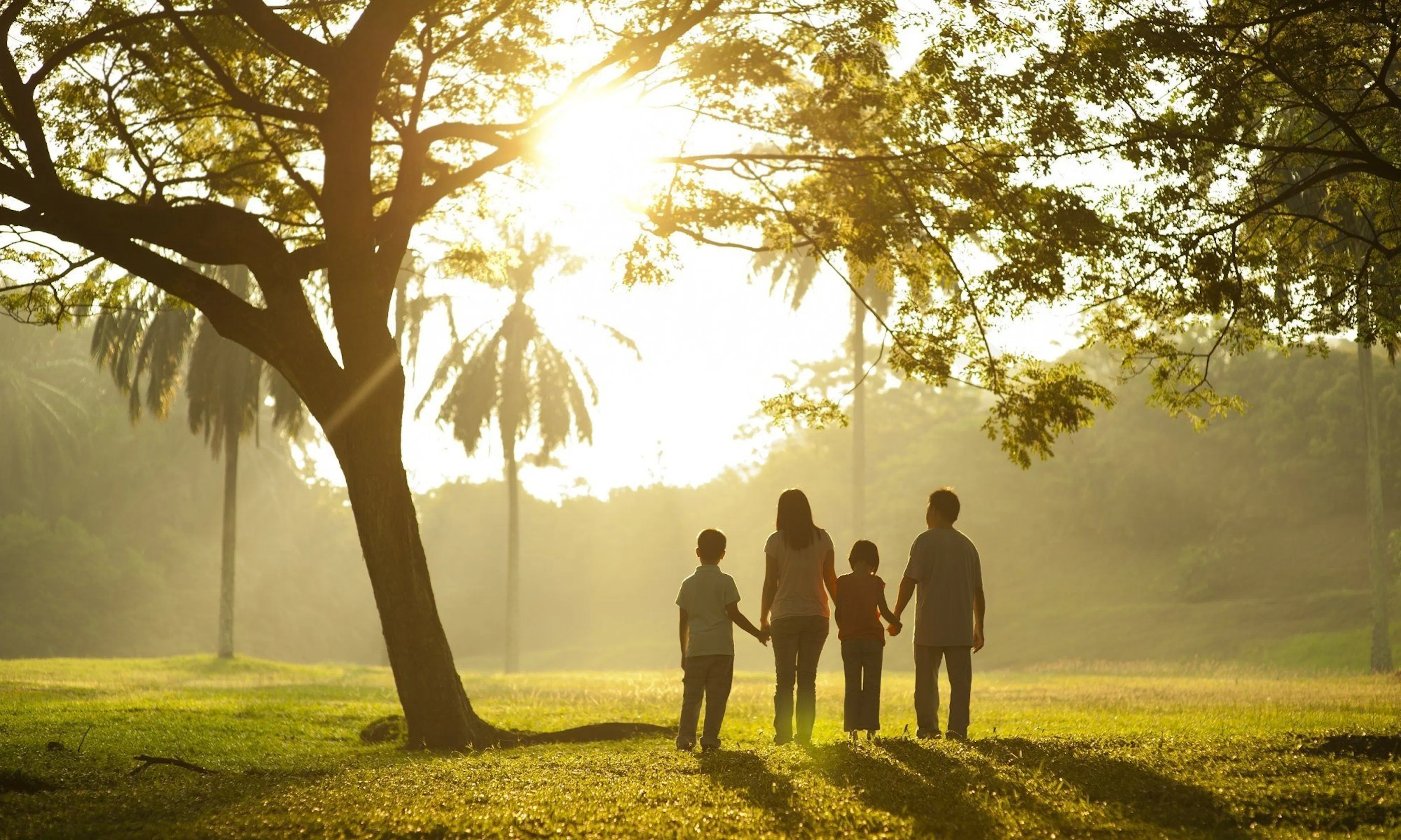 The Ideal Backdrop for Family Memories