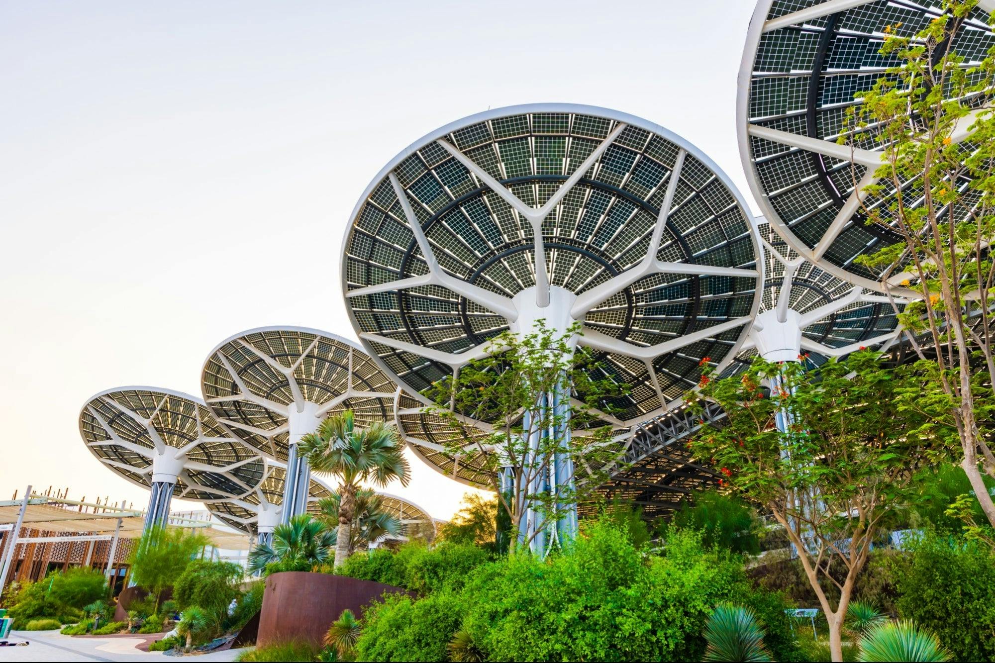 Where Luxury Meets Sustainability