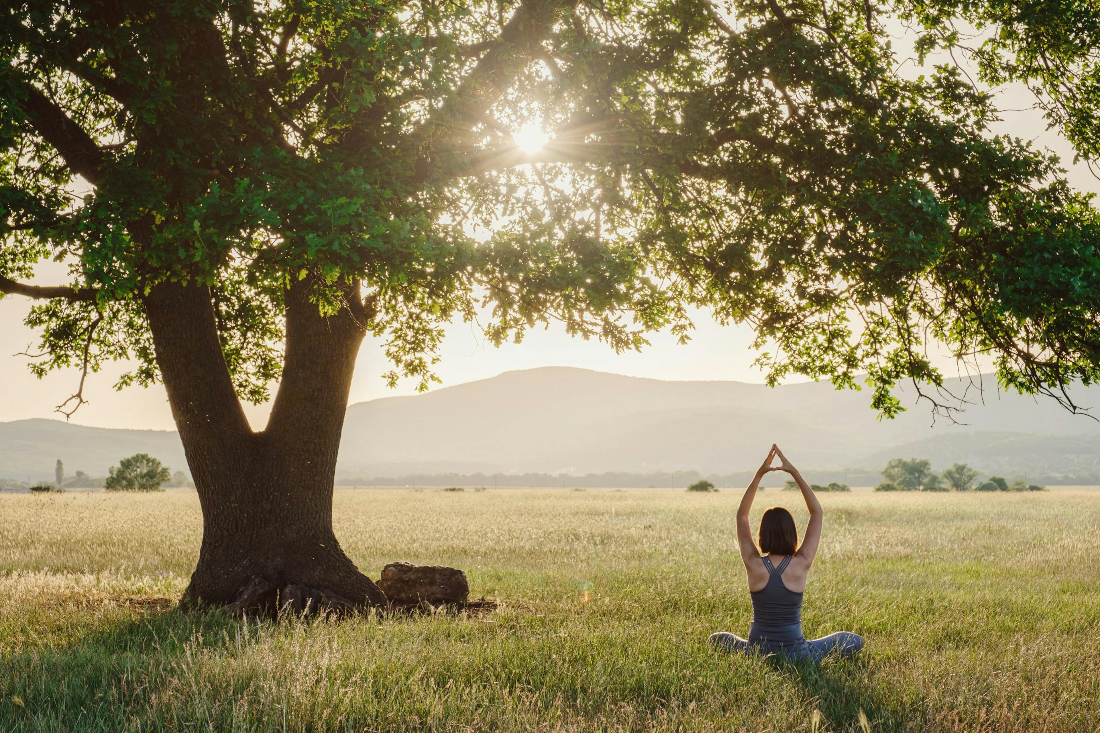 Harmony with Nature