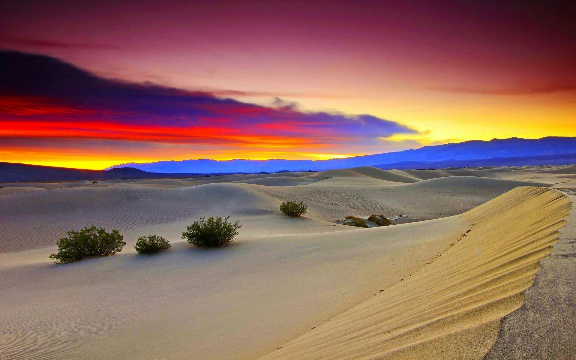 Sustainability amid the Desert