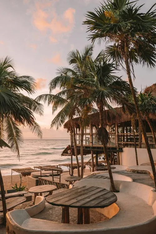 Exploring the Beauty of Papaya Playa Project