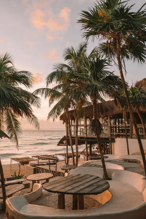 Exploring the Beauty of Papaya Playa Project