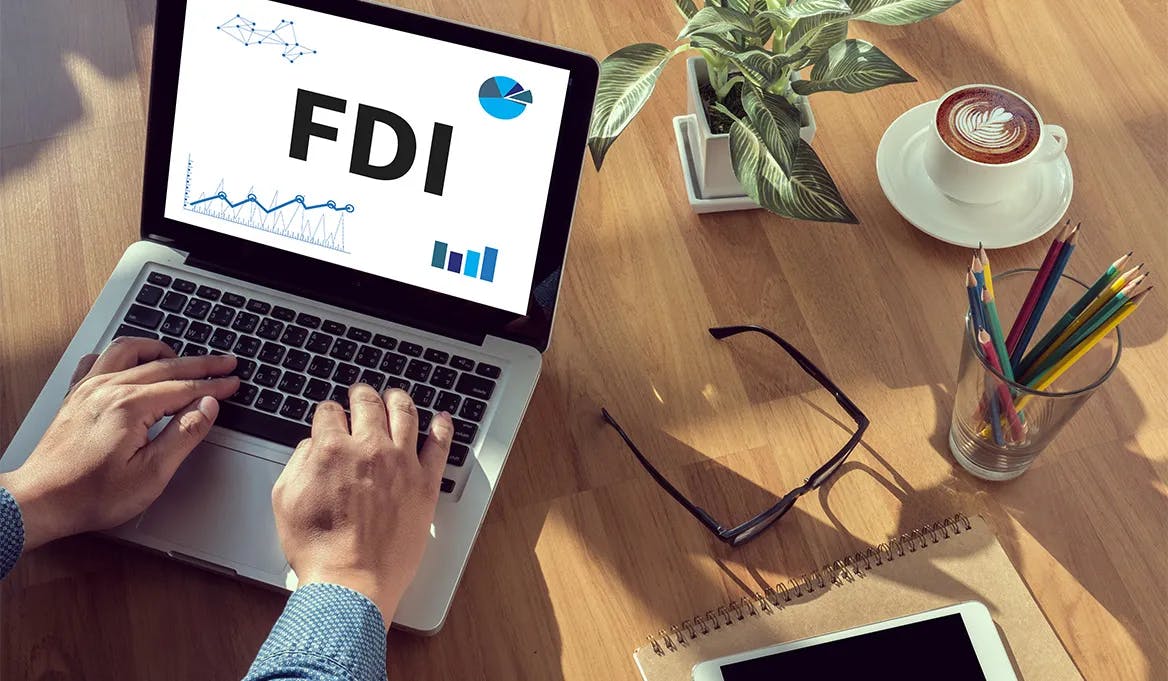 The Role of Foreign Direct Investment (FDI)