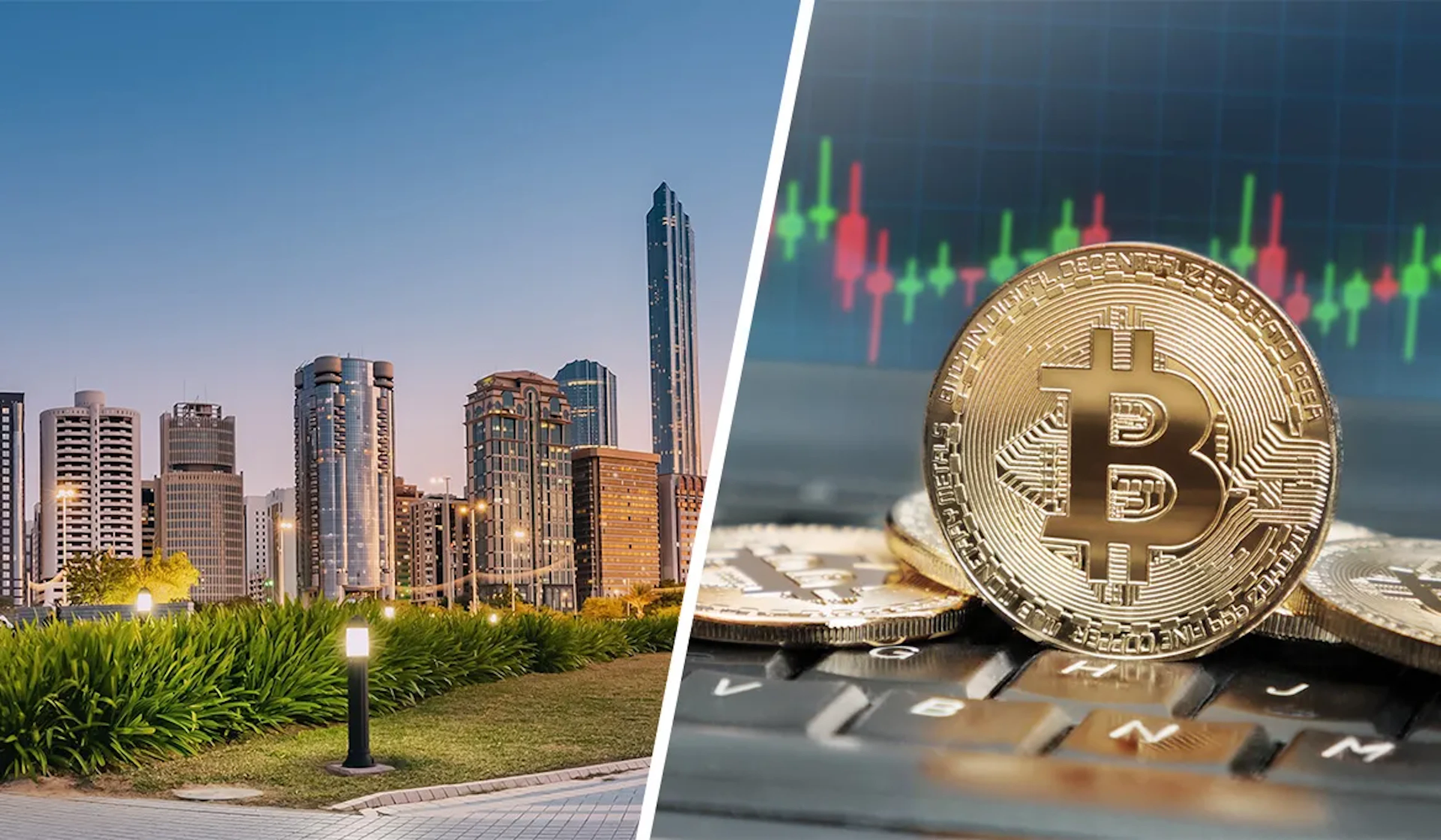 Choosing the Best Investment: Real Estate vs. Cryptocurrency