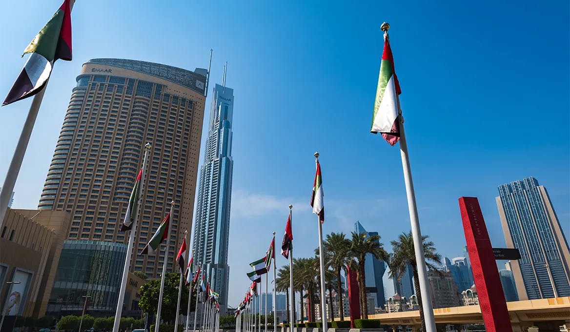 Residency Programs and Visa Options for Investors