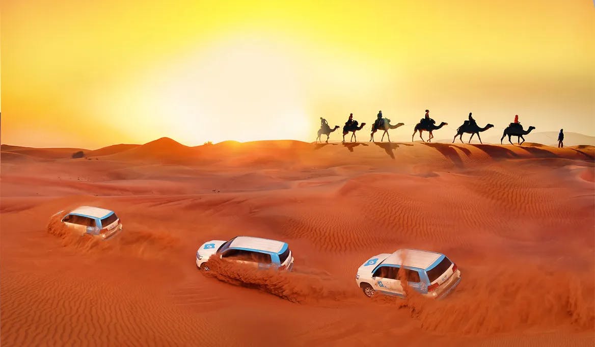 Desert Safari: The Ultimate Desert Adventure