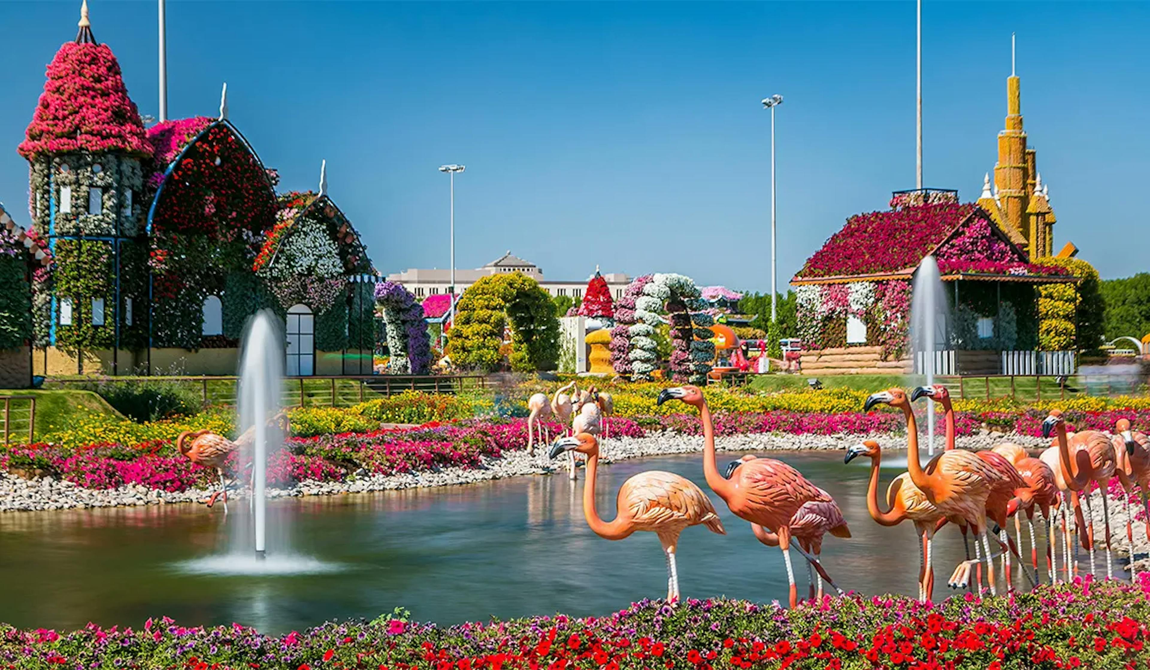 Dubai Miracle Garden: A Floral Paradise in the Desert