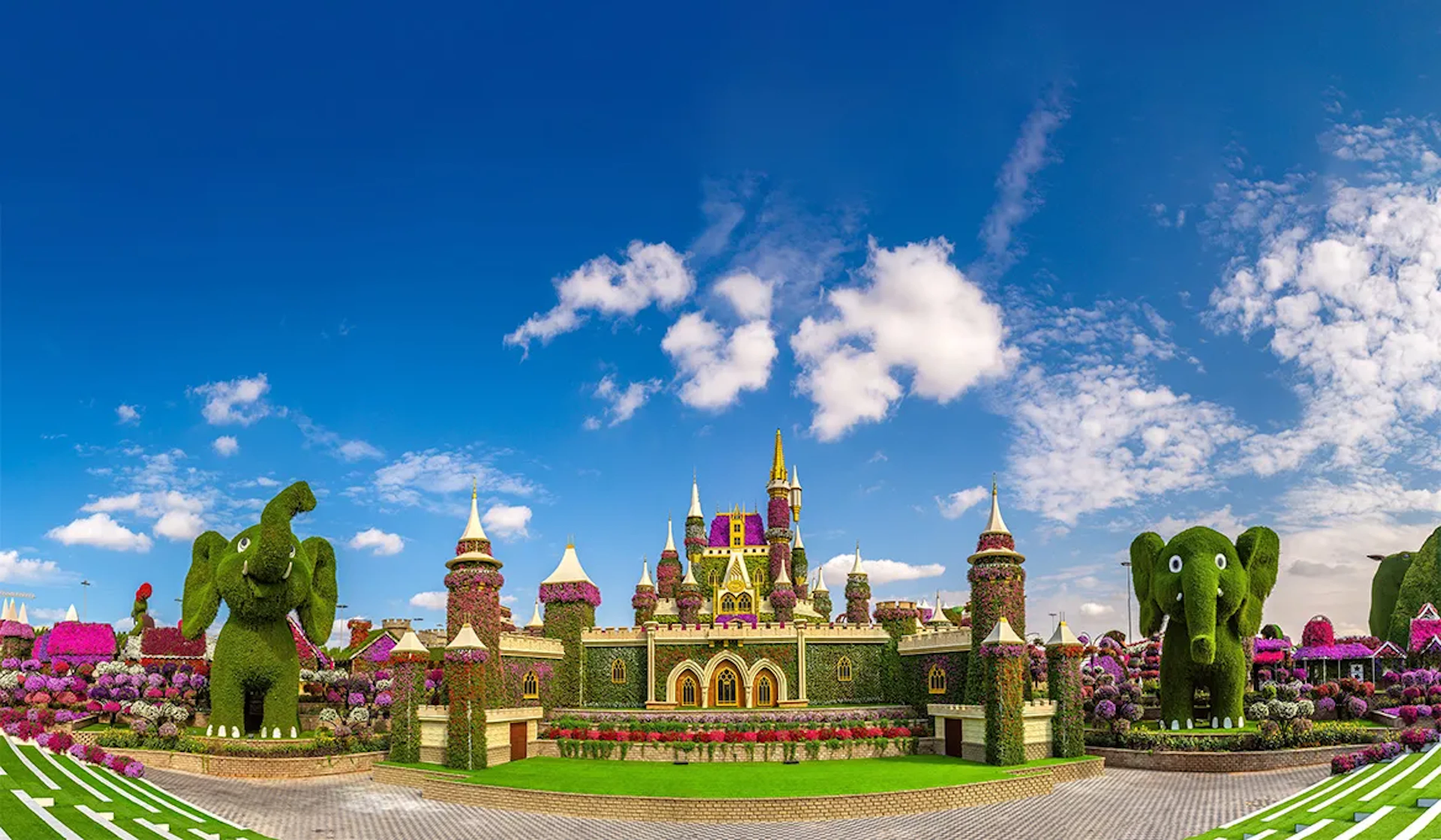 Dubai Miracle Garden: What You Need to Know
