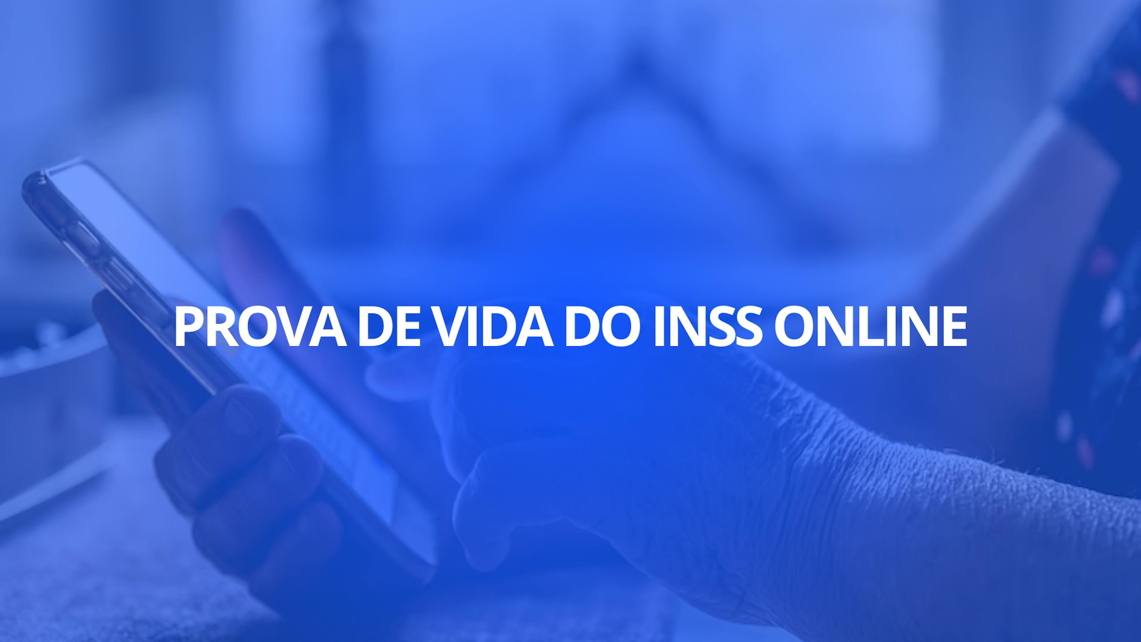 Prova de Vida do INSS Online: Guia Completo para 2024