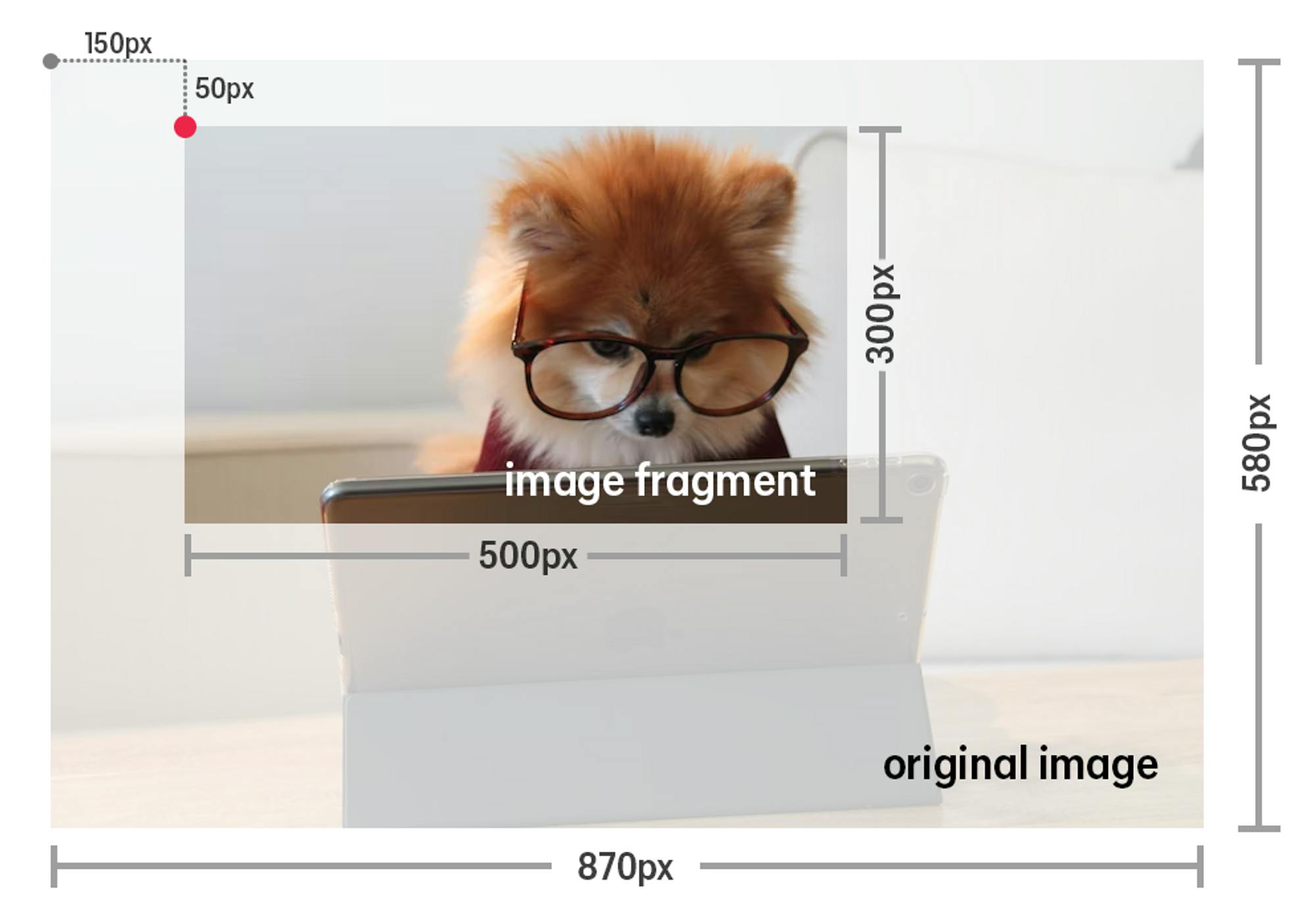 A photo of a puppy wearing glasses and looking at a computer has an overlay showing how it could be cropped using the image fragments noted in the previous paragraph.