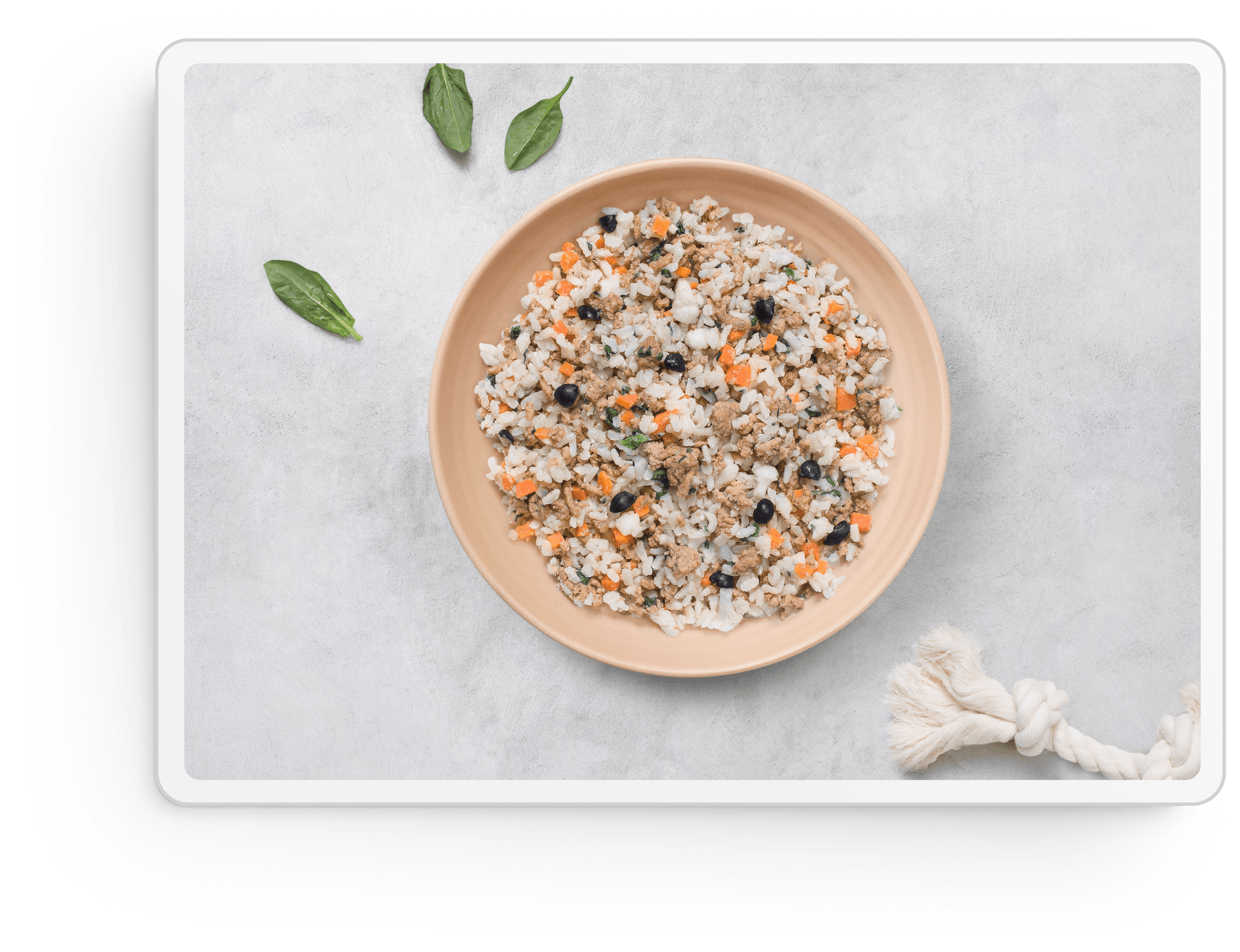 Natural dog food inside a tablet