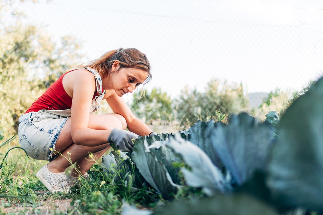 Initiatives pour manger sans se ruiner 
