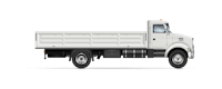 Medium Standard Truck