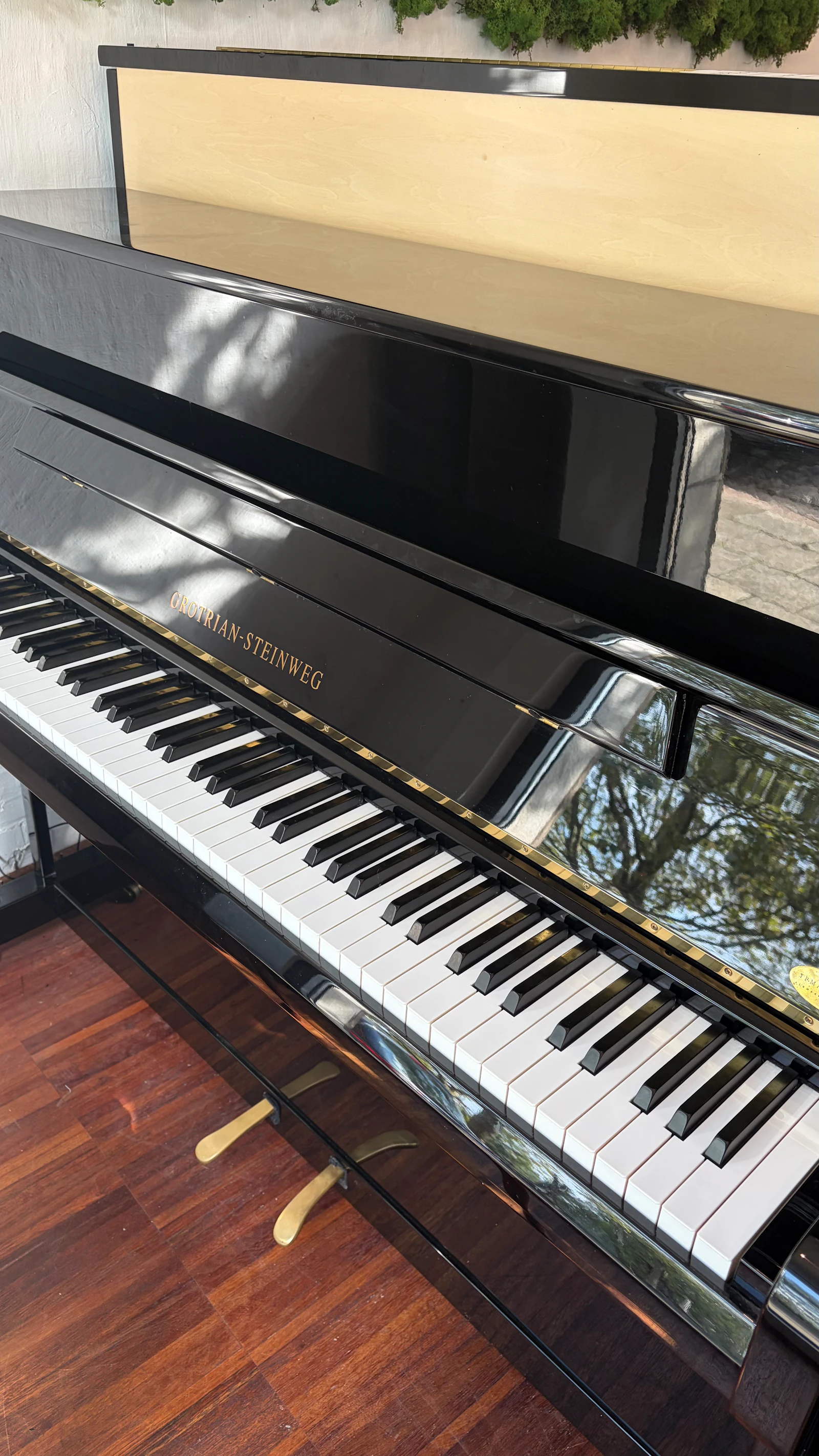 Grotrian Steinweg 116