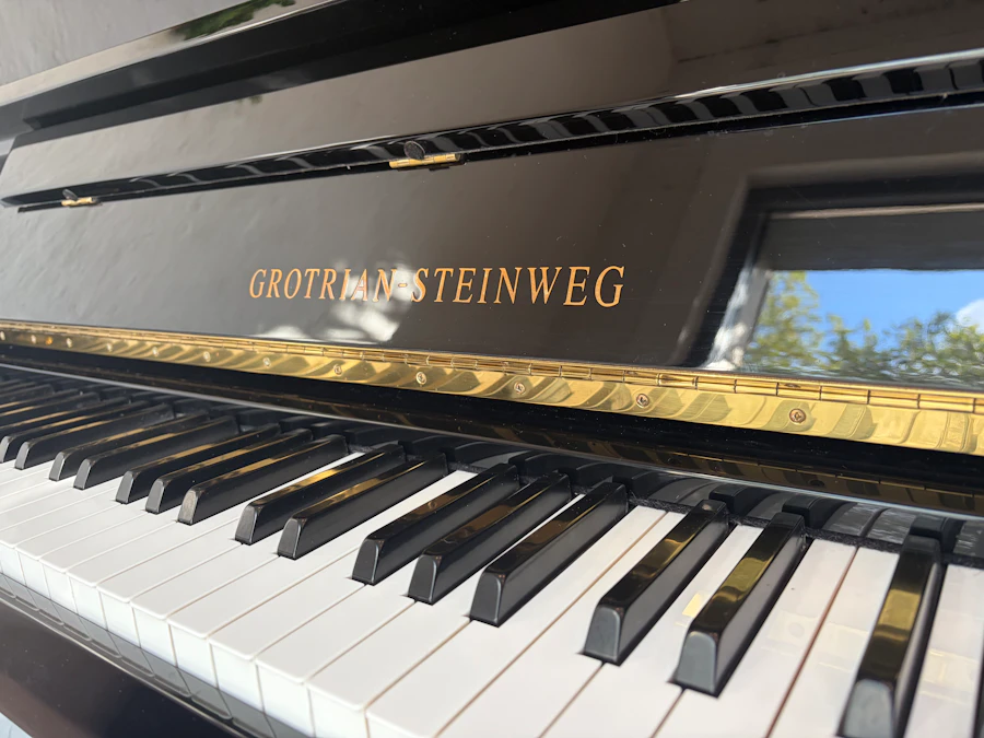 Grotrian Steinweg 116