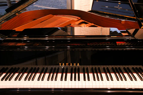 Yamaha GH1