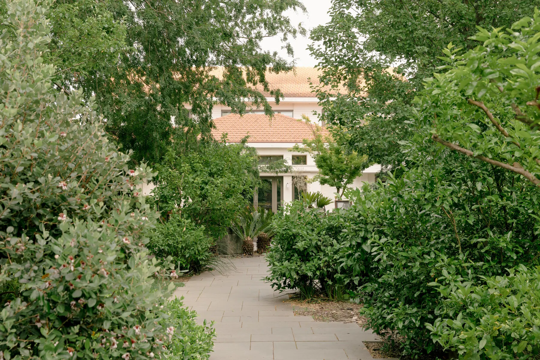 Peppers Gallery Hotel gardens