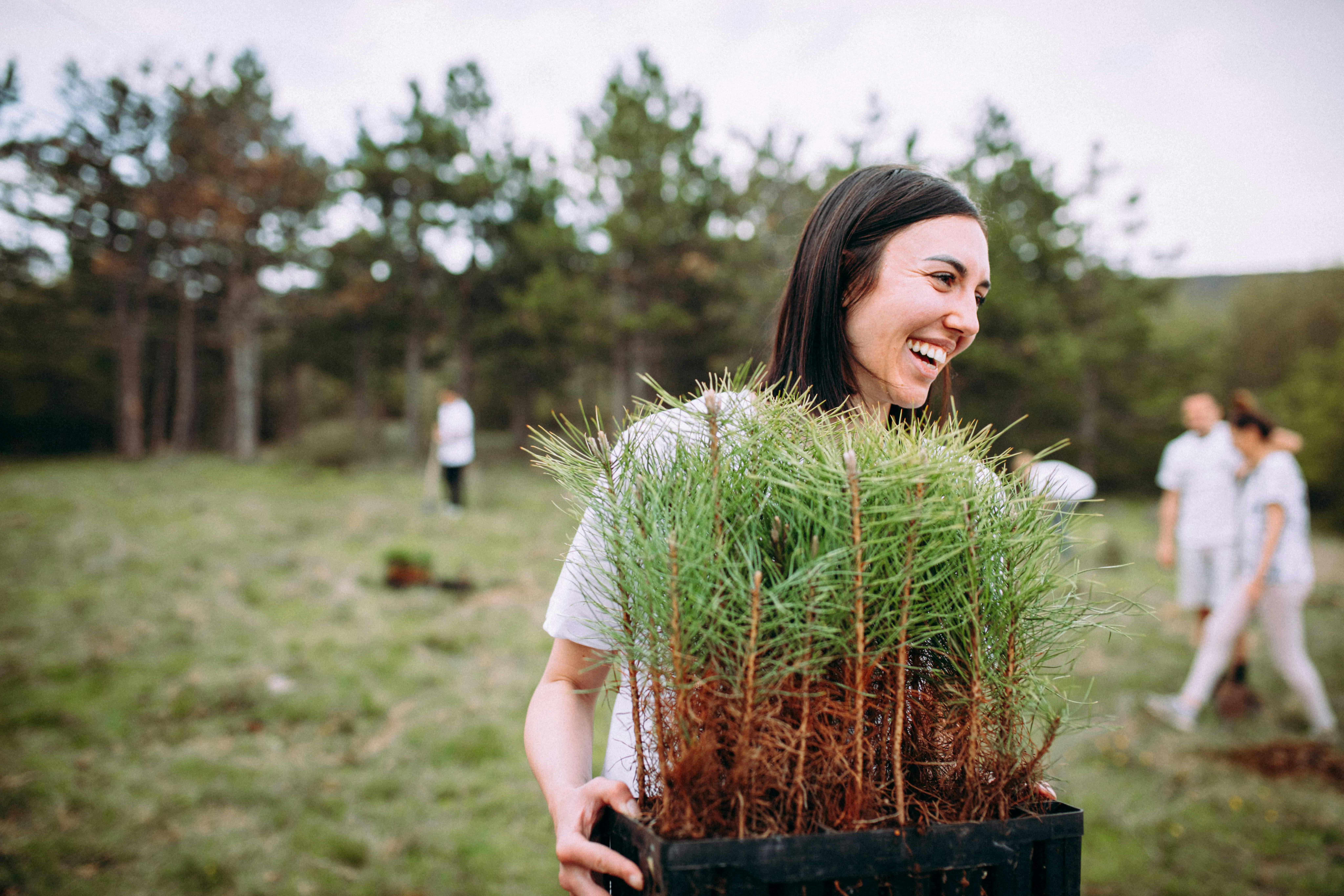 Woman taking care of cypress plants